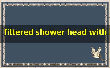  filtered shower head with handheld